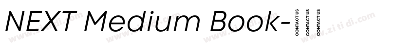 NEXT Medium Book字体转换
